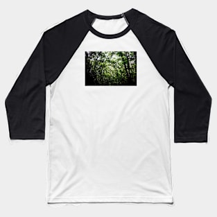 Tree Crowns Jungle / Swiss Artwork Photography Baseball T-Shirt